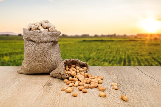 Peanut seeds Manufacturer from India