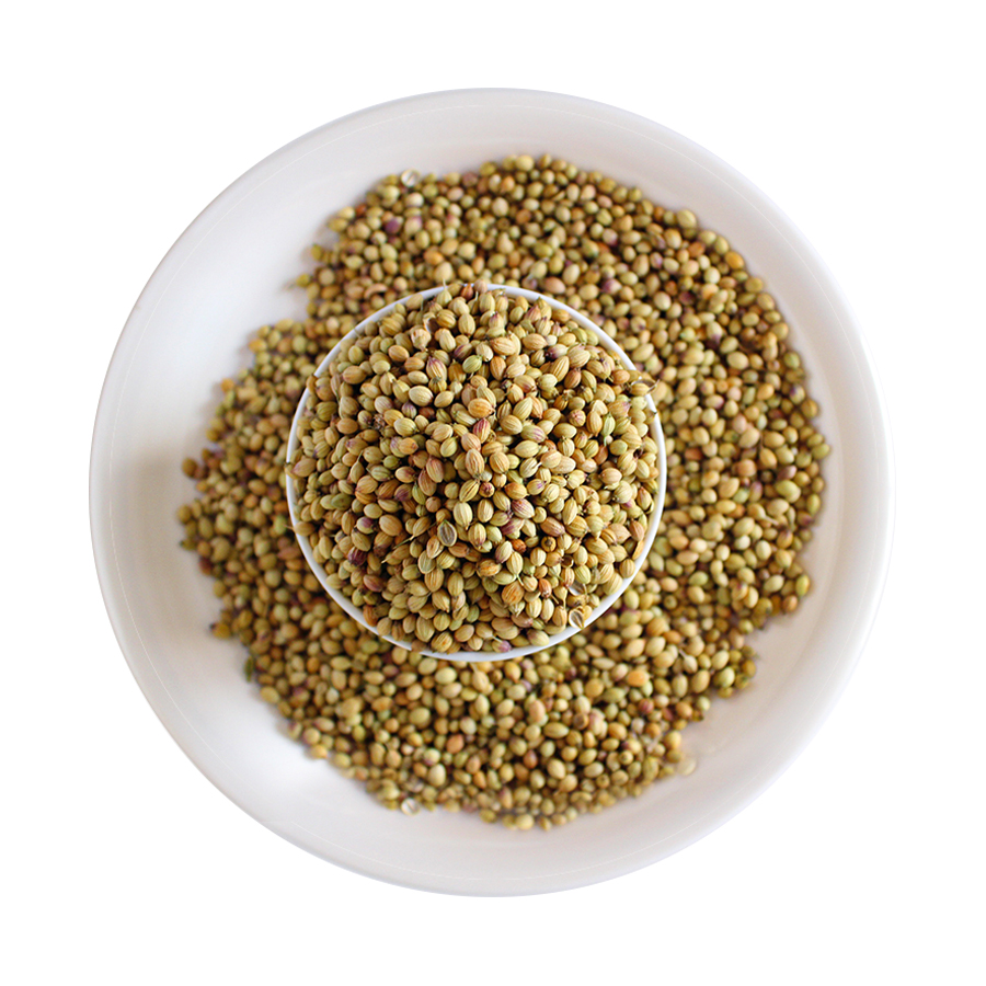 Bhimani Exports Coriander supplier